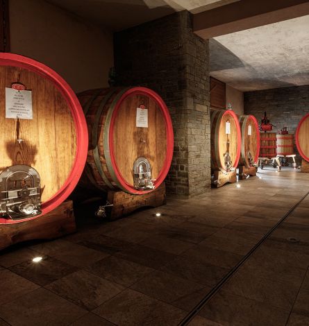 La cantina La cantina